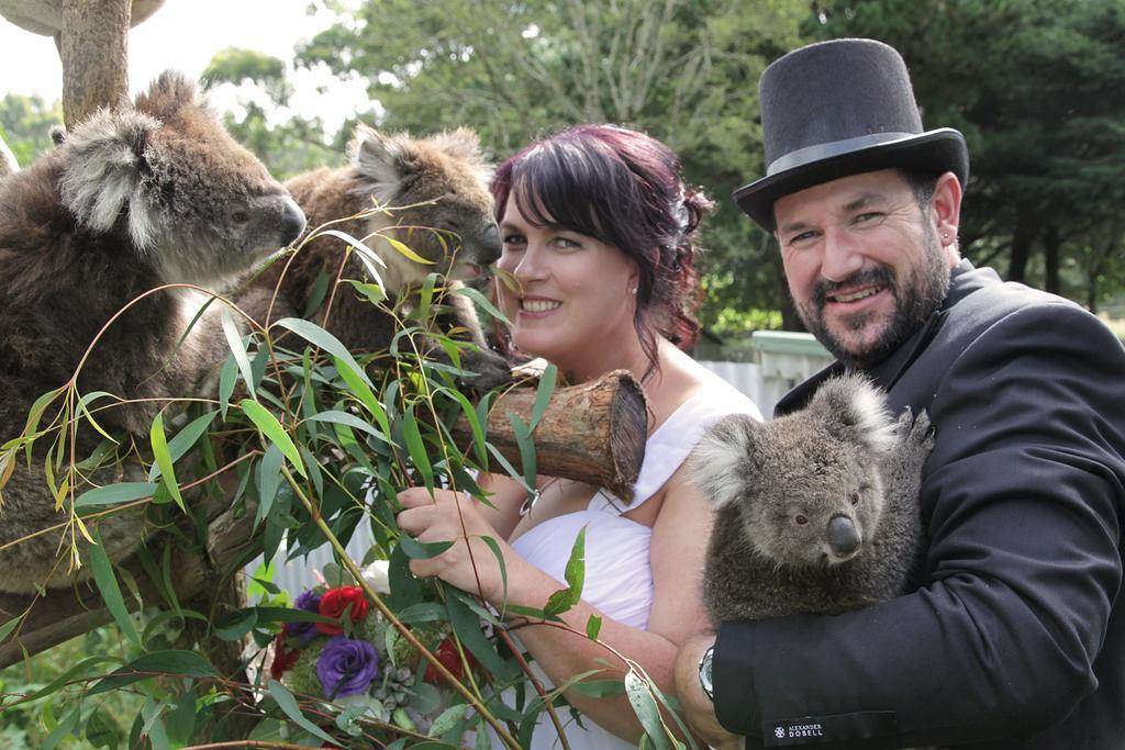 Fauna Australia Wildlife Retreat Lavers Hill ภายนอก รูปภาพ