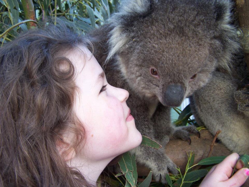 Fauna Australia Wildlife Retreat Lavers Hill ภายนอก รูปภาพ