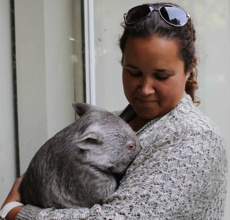 Fauna Australia Wildlife Retreat Lavers Hill ภายนอก รูปภาพ