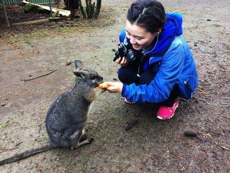 Fauna Australia Wildlife Retreat Lavers Hill ภายนอก รูปภาพ