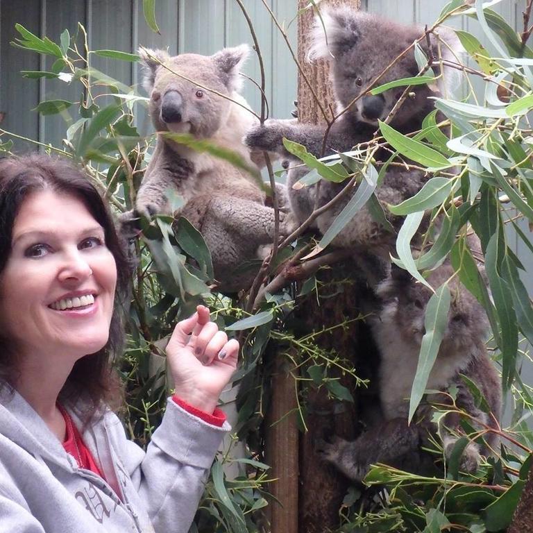 Fauna Australia Wildlife Retreat Lavers Hill ภายนอก รูปภาพ
