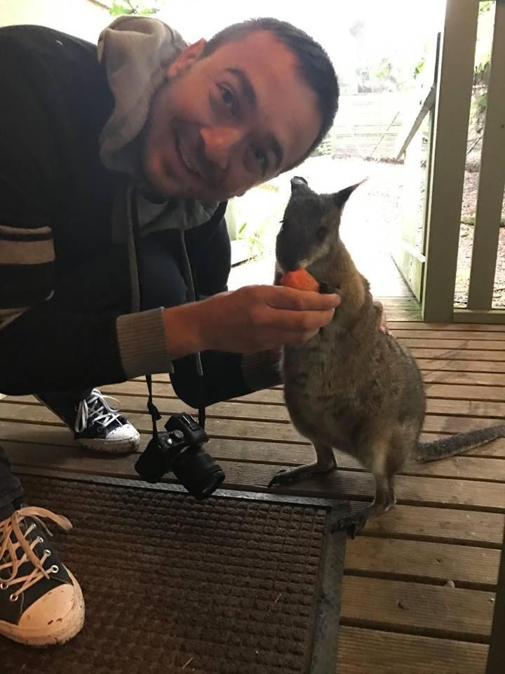 Fauna Australia Wildlife Retreat Lavers Hill ภายนอก รูปภาพ